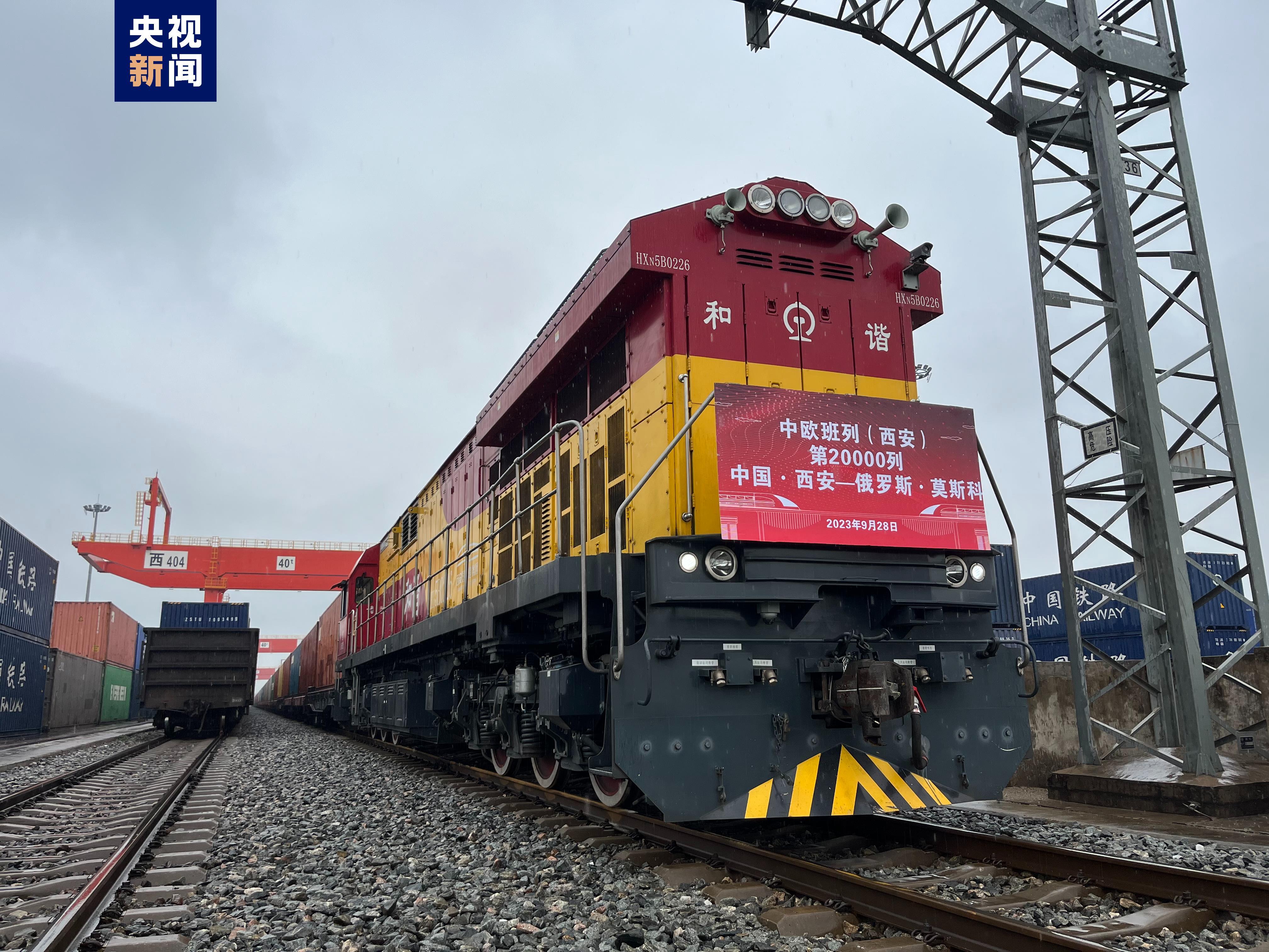 免费金花辅助软件下载